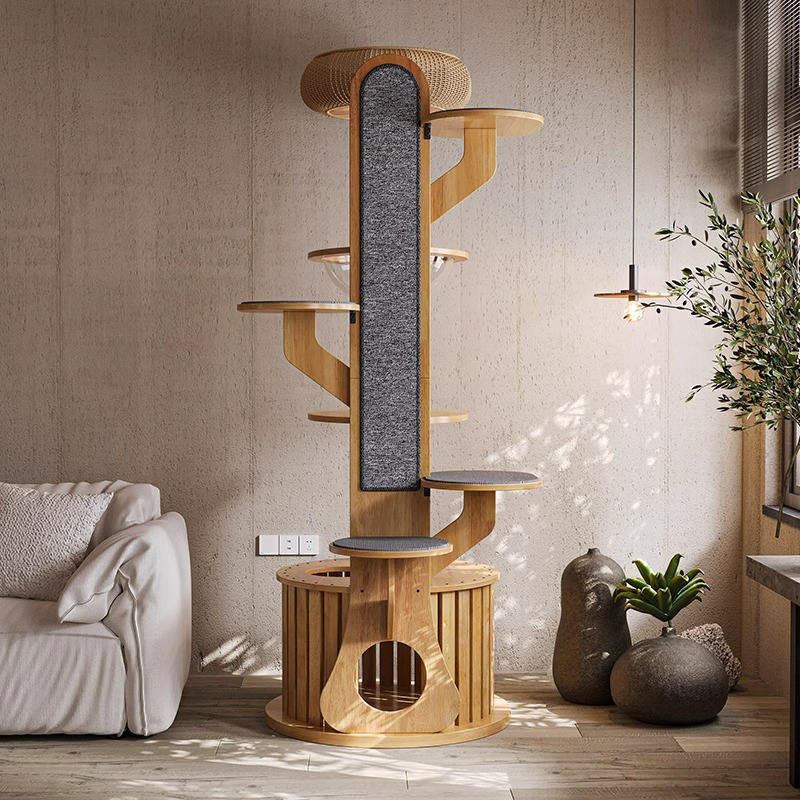 Cactus forma marco de trepadora de madera Árbol de gato sólido con cápsula espacial Cactus forma marco de trepadora de madera Árbol de gato sólido con cápsula espacial