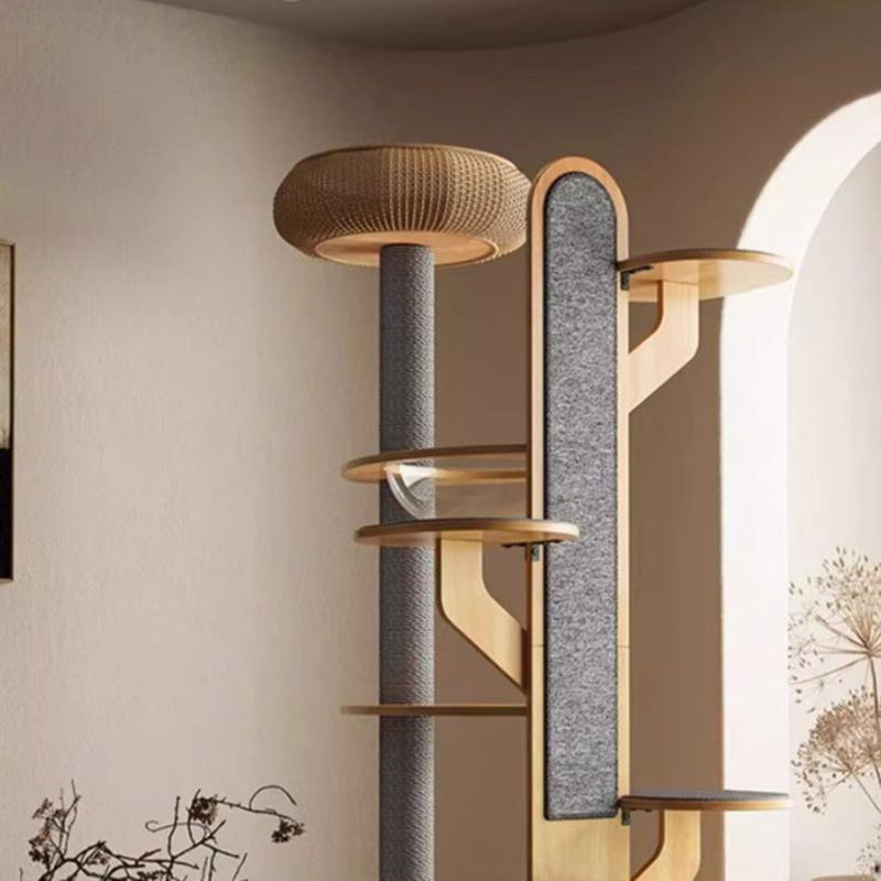 Cactus forma marco de trepadora de madera Árbol de gato sólido con cápsula espacial Cactus forma marco de trepadora de madera Árbol de gato sólido con cápsula espacial