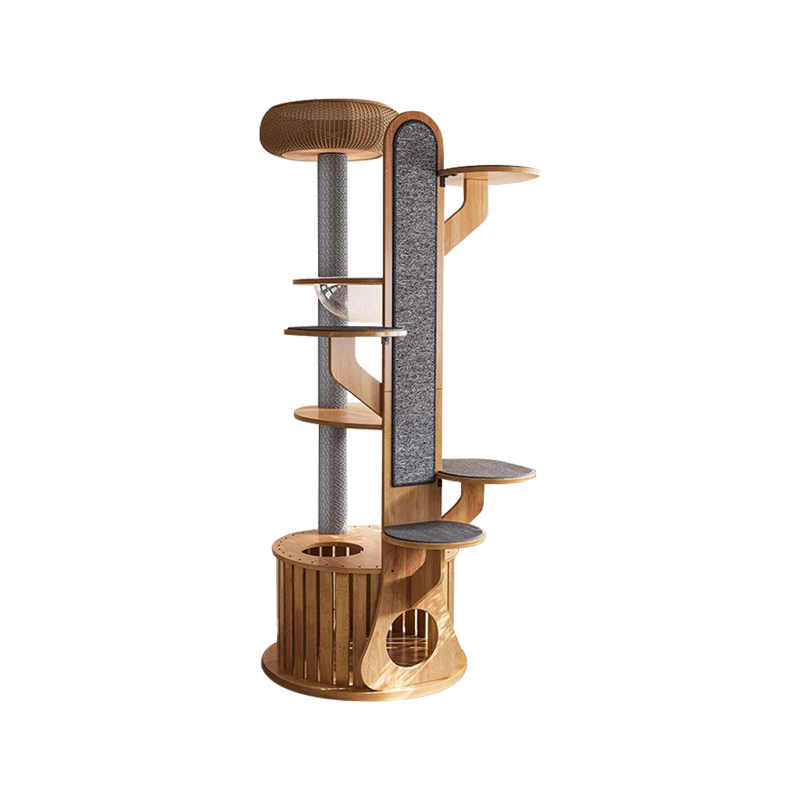 Cactus forma marco de trepadora de madera Árbol de gato sólido con cápsula espacial Cactus forma marco de trepadora de madera Árbol de gato sólido con cápsula espacial